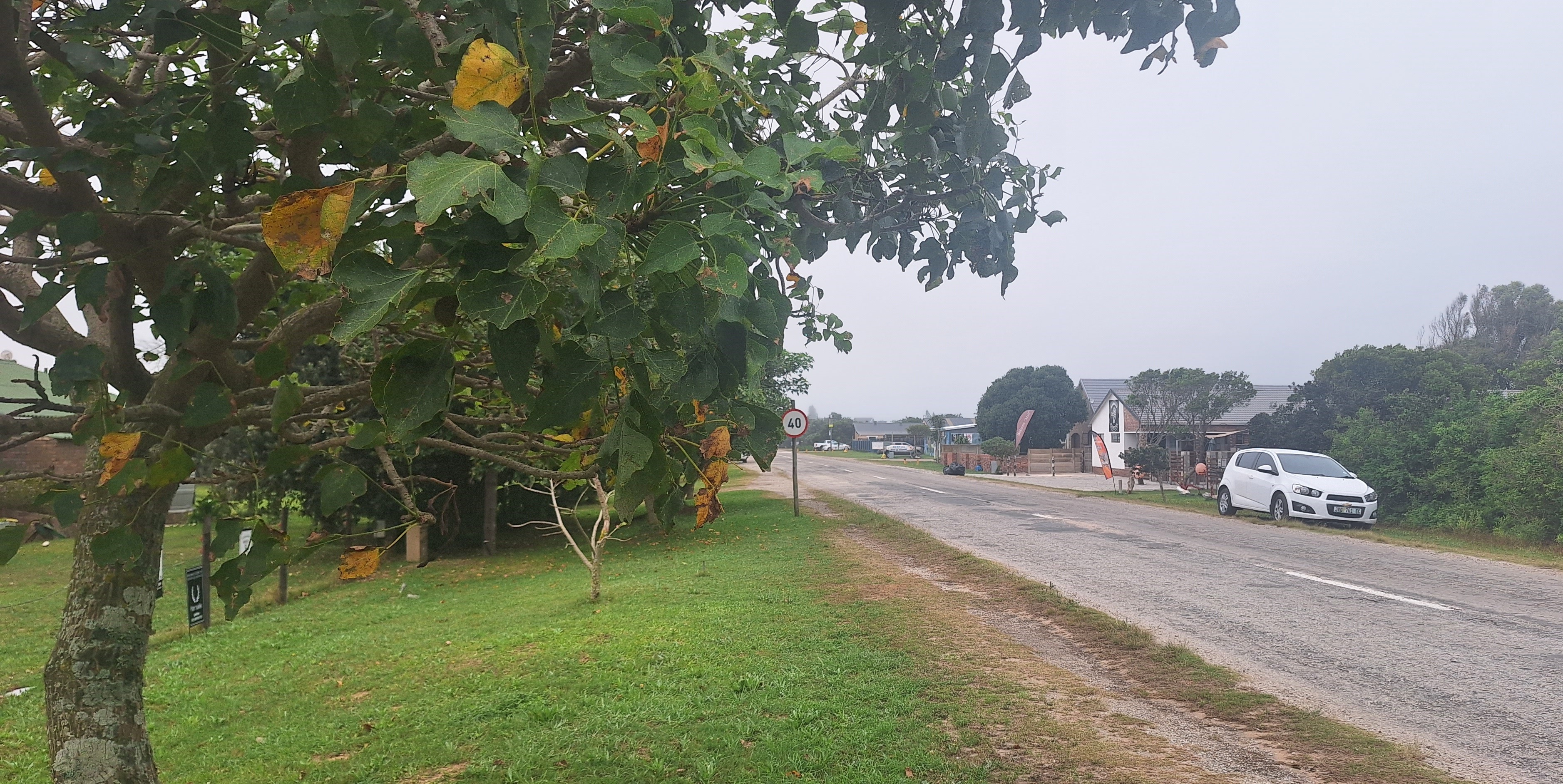 0 Bedroom Property for Sale in Boknesstrand Eastern Cape